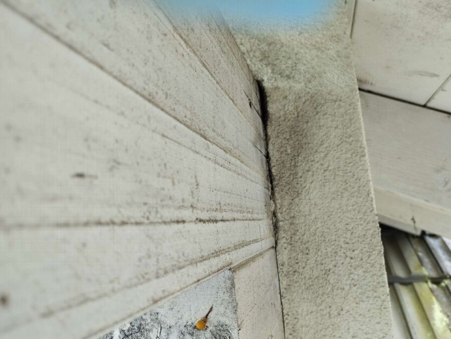 Kammerjäger-Wangen bei Olten-Einsatzvorbereitung.jpeg