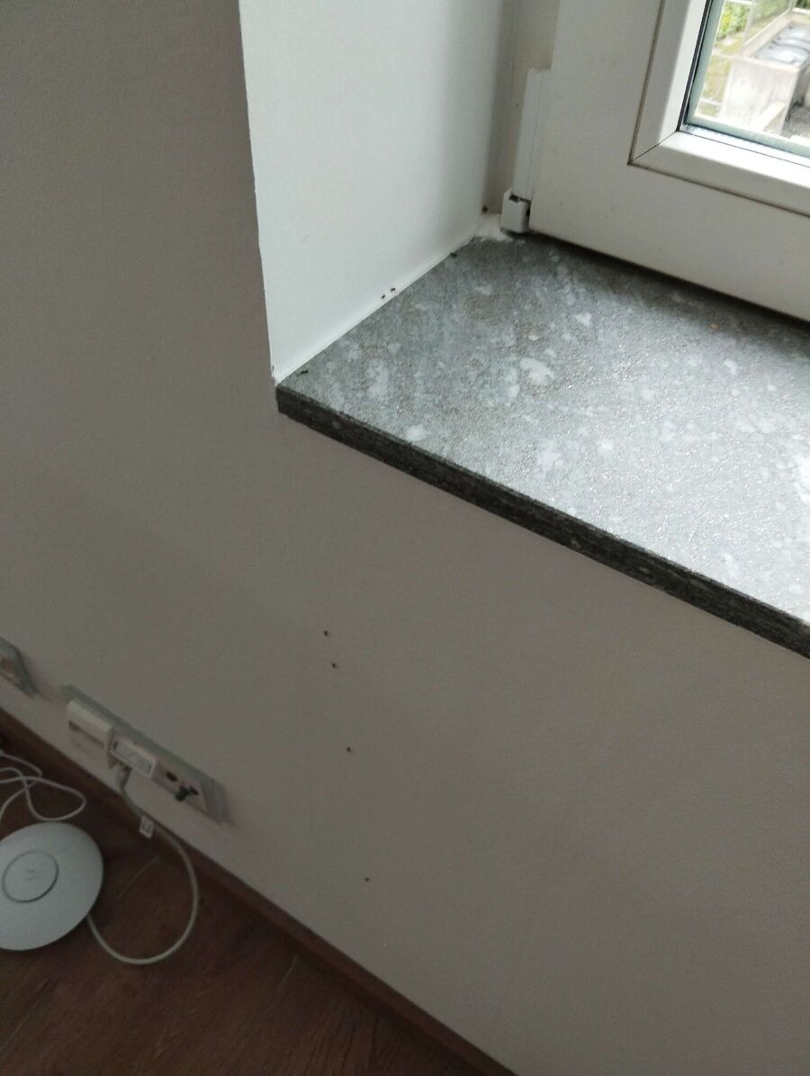 Kammerjäger-Burg im Leimental-Einsatzvorbereitung.jpeg