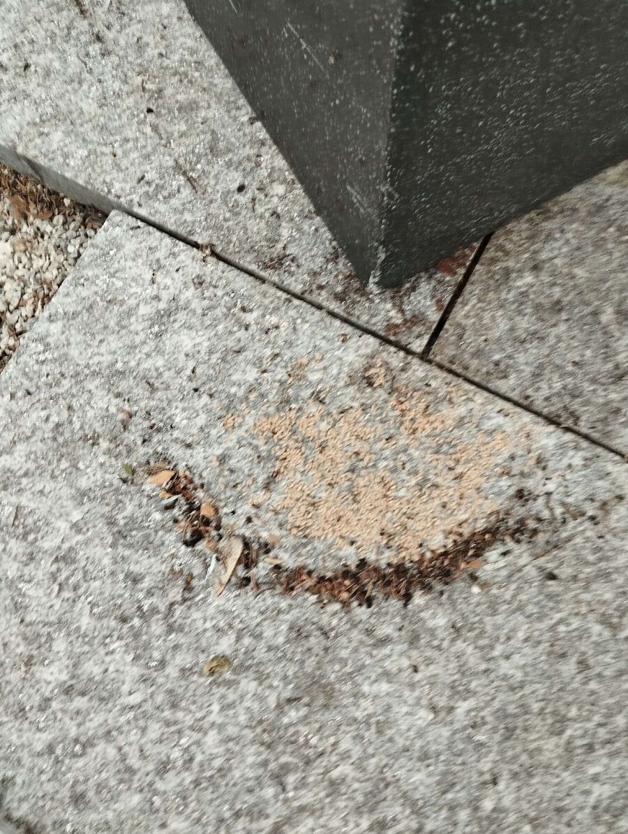 Kammerjäger-Reinach (BL)-Einsatzvorbereitung.jpeg