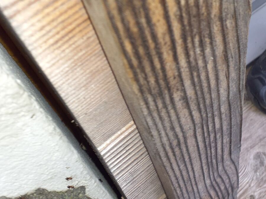 Kammerjäger-Andwil (SG)-Einsatzvorbereitung.jpeg