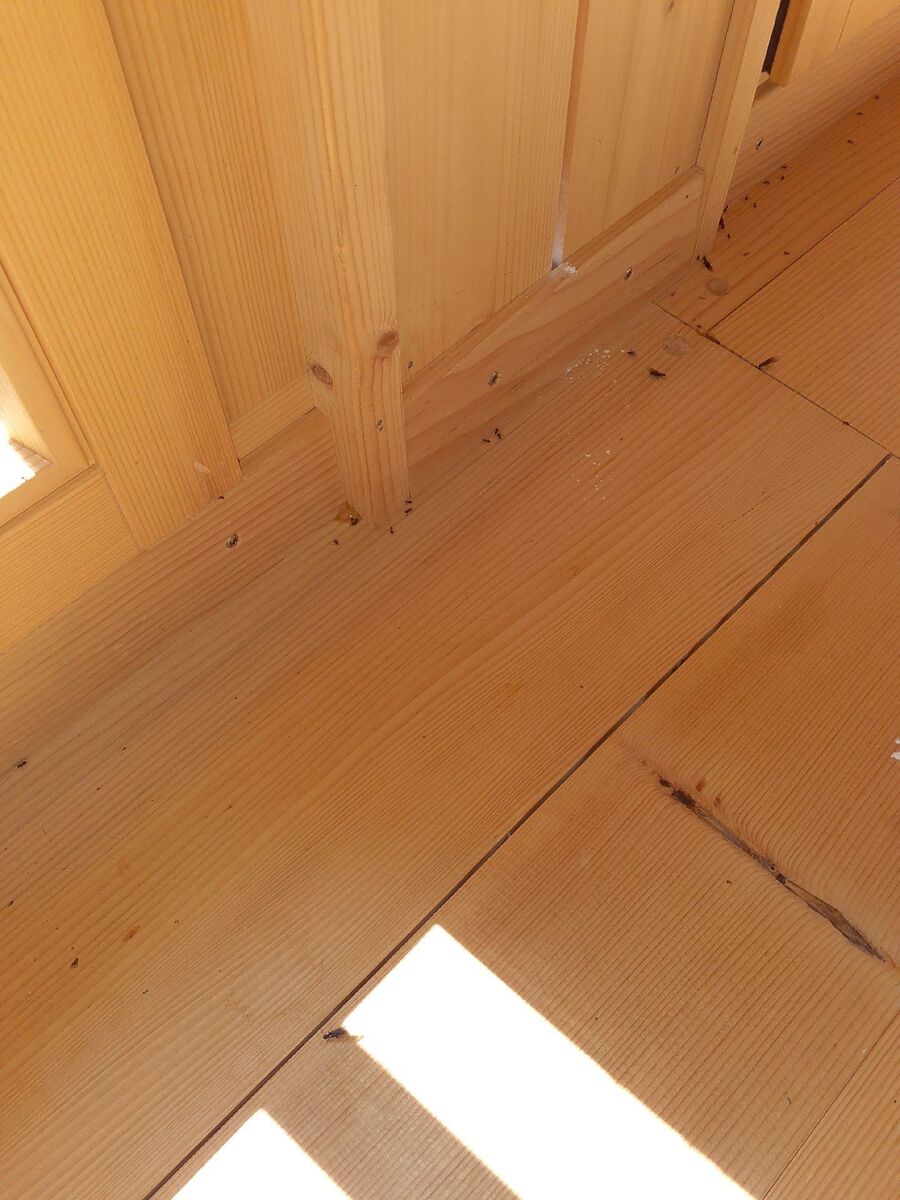 Kammerjäger-Bad Ragaz-Einsatzvorbereitung.jpeg