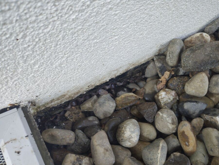 Kammerjäger-Benken (SG)-Einsatzvorbereitung.jpeg