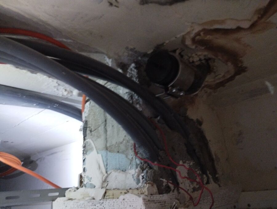 Kammerjäger-Buchs (SG)-Einsatzvorbereitung.jpeg