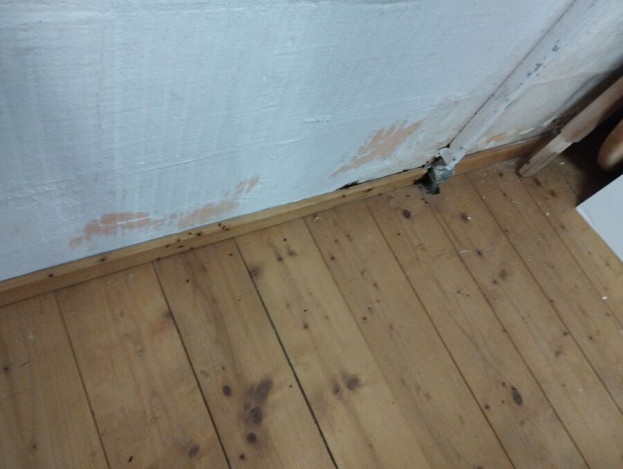 Kammerjäger-Marbach (SG)-Einsatzvorbereitung.jpeg