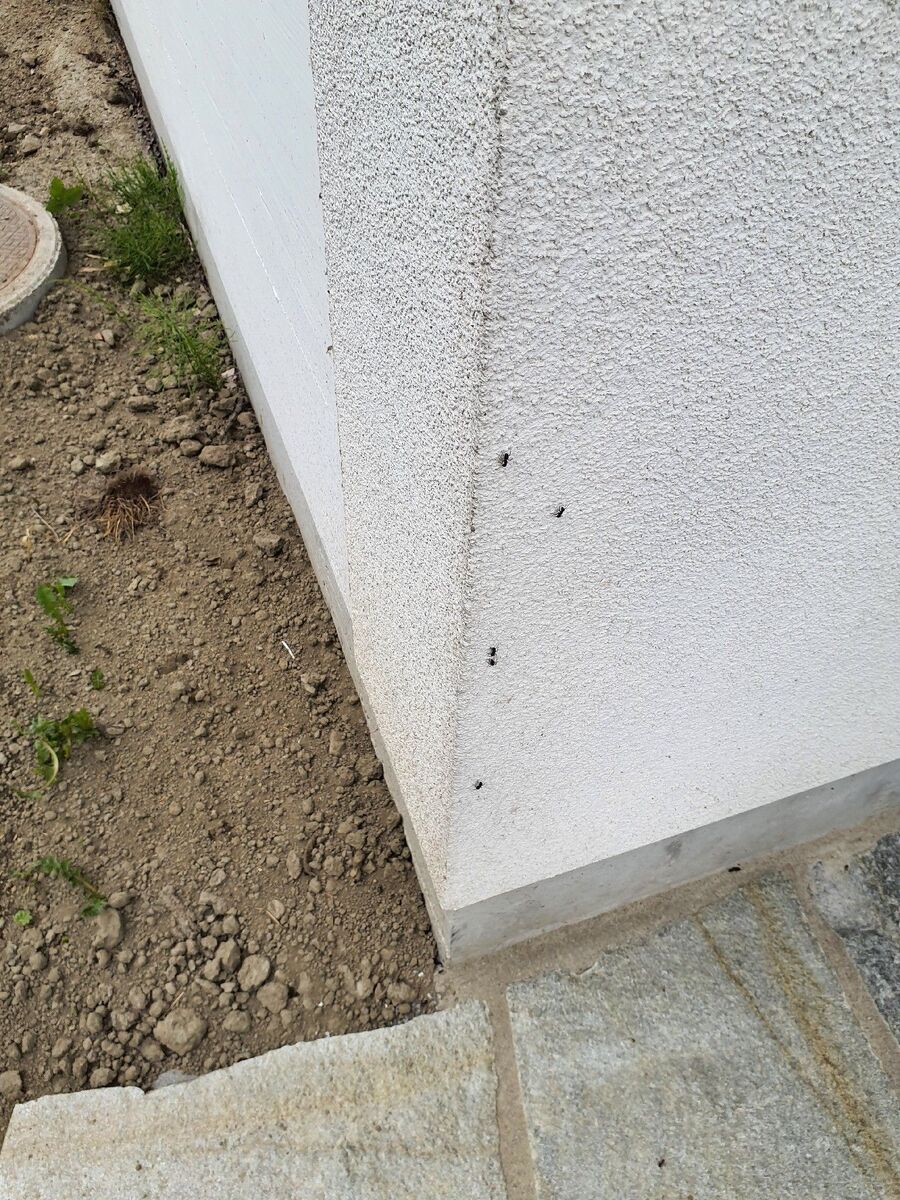 Kammerjäger-St. Gallen-Einsatzvorbereitung.jpeg