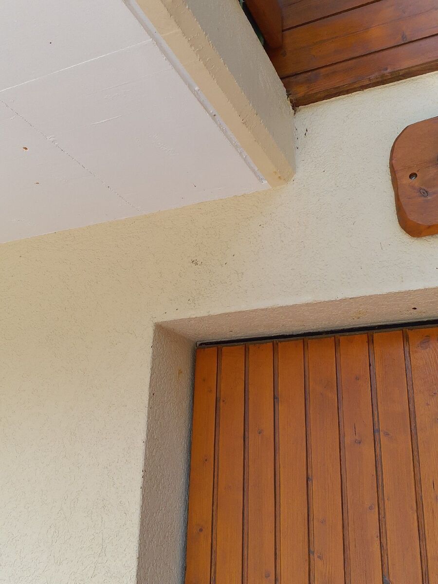 Kammerjäger-Obersaxen Mundaun-Einsatzvorbereitung.jpeg