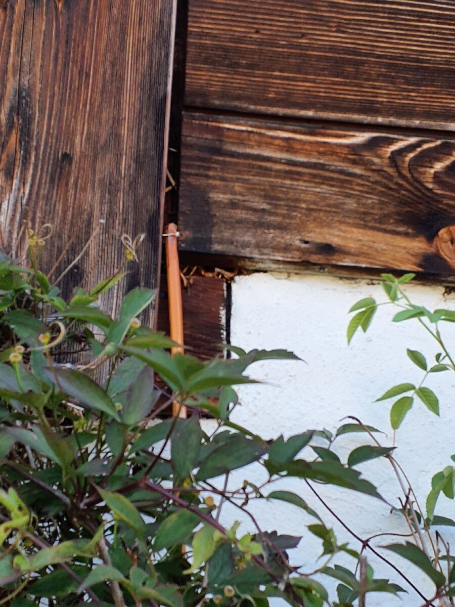 Kammerjäger-Roveredo (GR)-Einsatzvorbereitung.jpeg