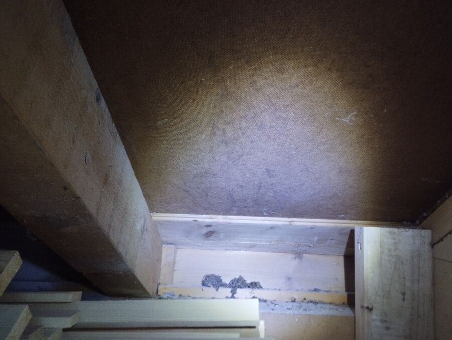 Kammerjäger-Santa Maria in Calanca-Einsatzvorbereitung.jpeg