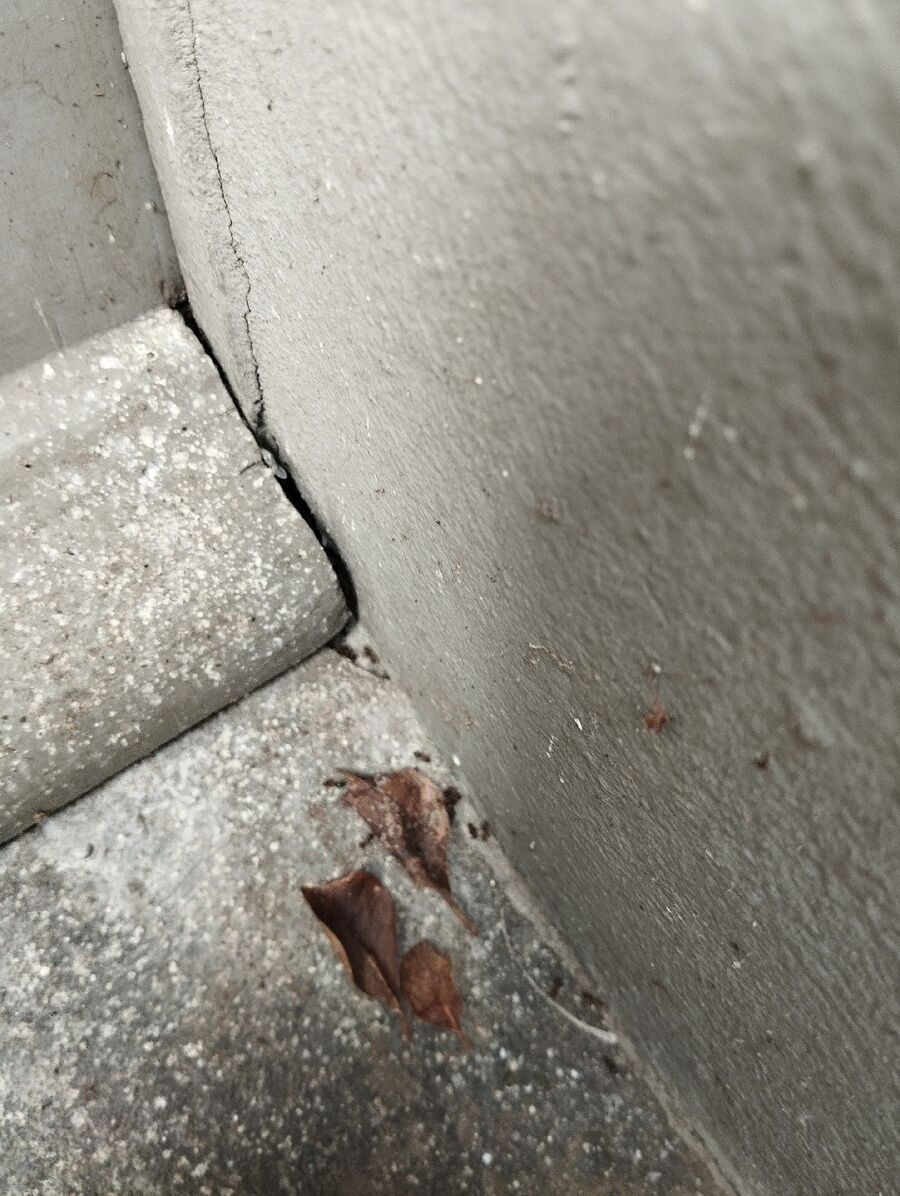 Kammerjäger-Schmitten (GR)-Einsatzvorbereitung.jpeg