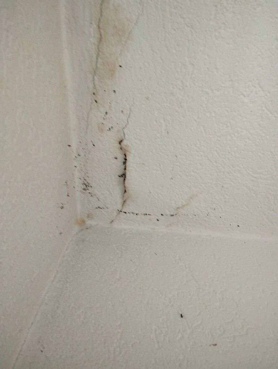 Kammerjäger-Val Müstair-Einsatzvorbereitung.jpeg