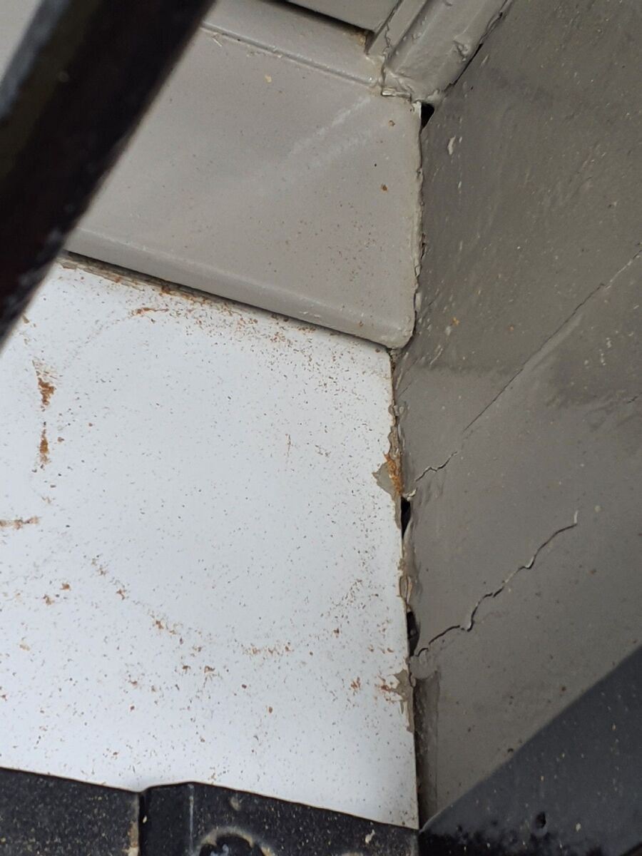 Kammerjäger-Beinwil (Freiamt)-Einsatzvorbereitung.jpeg