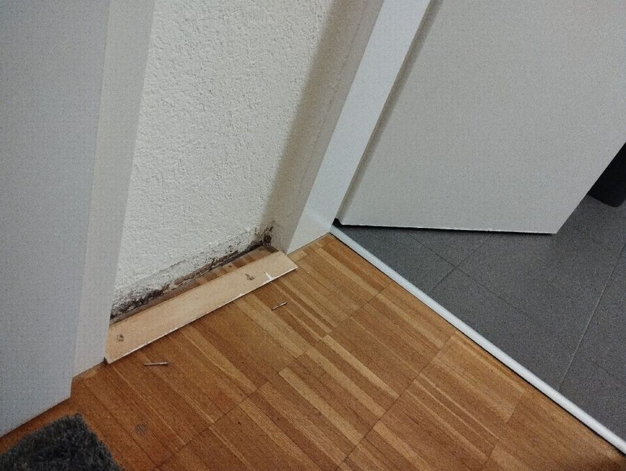 Kammerjäger-Beinwil am See-Einsatzvorbereitung.jpeg