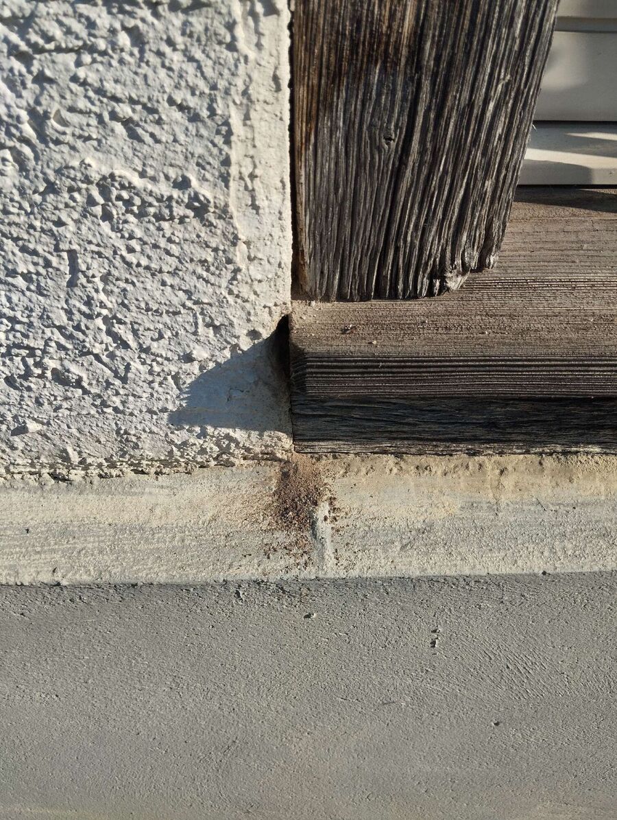 Kammerjäger-Hausen (AG)-Einsatzvorbereitung.jpeg