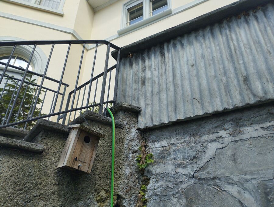 Kammerjäger-Münchwilen (AG)-Einsatzvorbereitung.jpeg