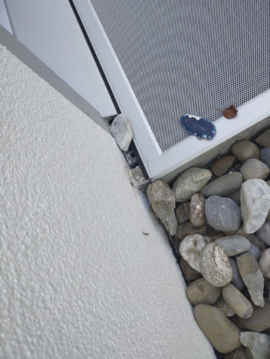 Kammerjäger-Niederwil (AG)-Einsatzvorbereitung.jpeg