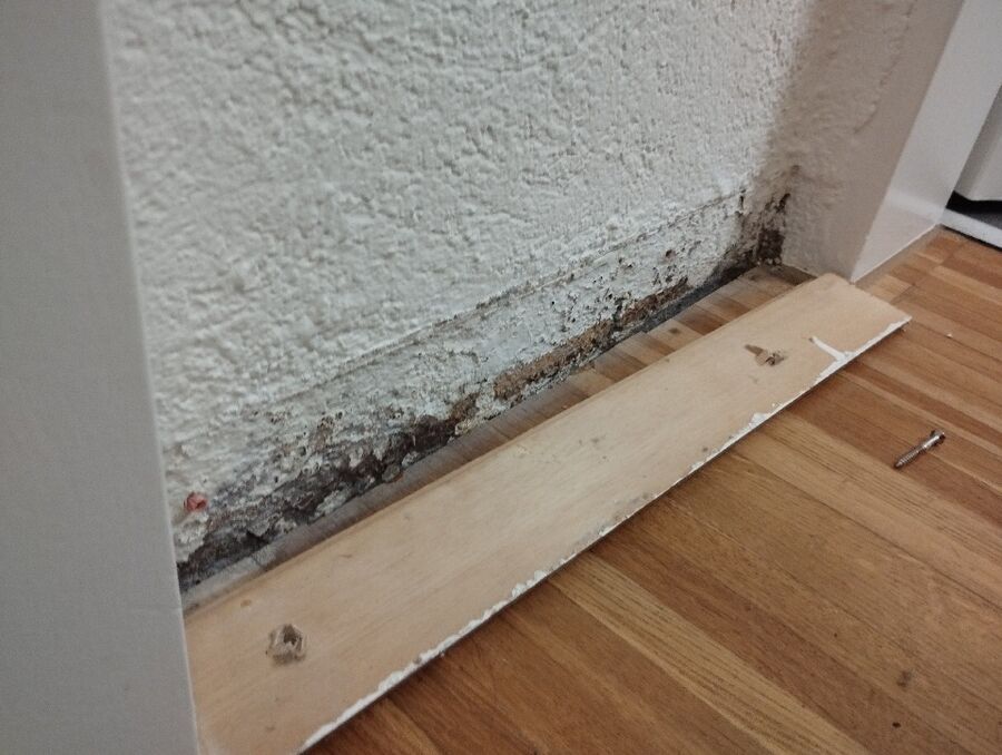 Kammerjäger-Teufenthal (AG)-Einsatzvorbereitung.jpeg