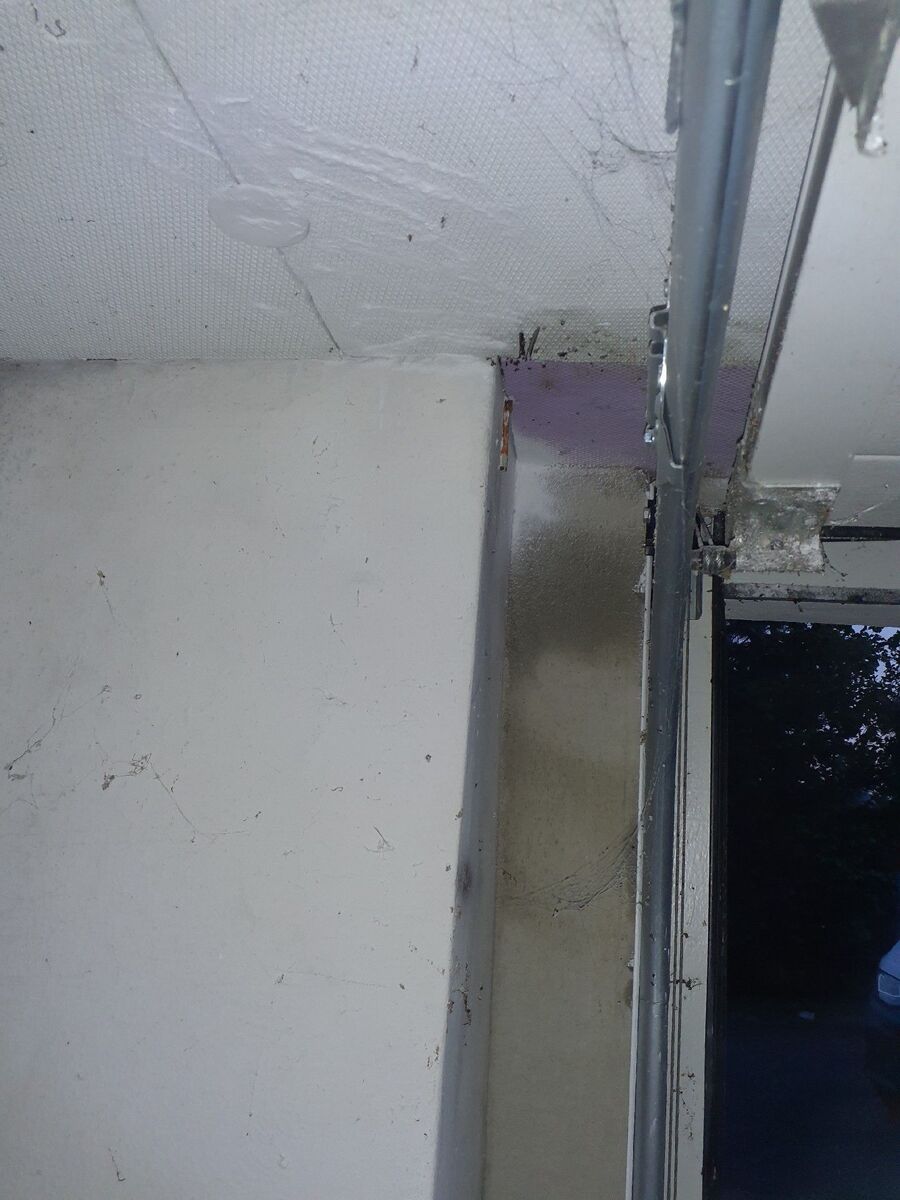 Kammerjäger-Thalheim (AG)-Einsatzvorbereitung.jpeg