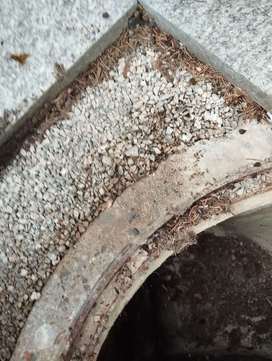 Kammerjäger-Erlenbach im Simmental-Einsatzvorbereitung.jpeg