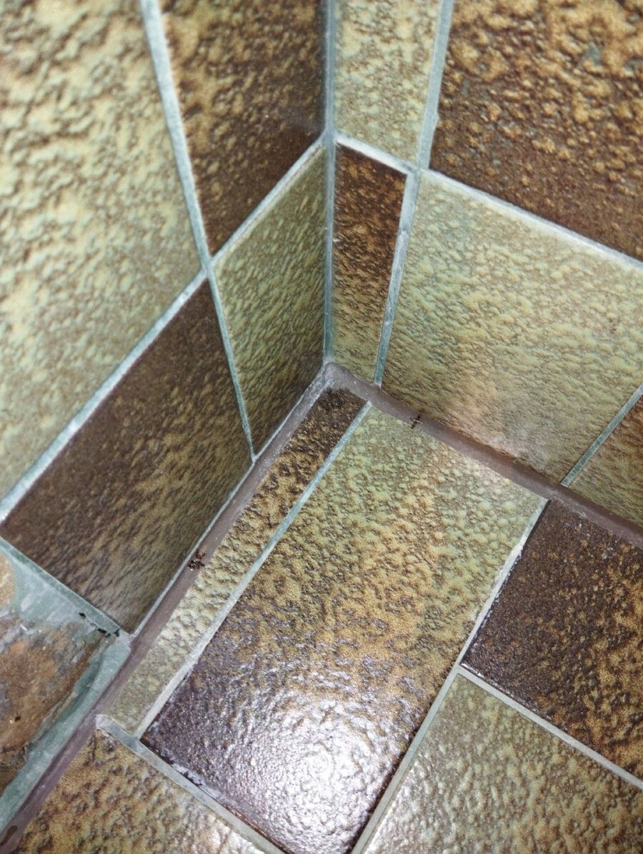 Kammerjäger-Bürglen (TG)-Einsatzvorbereitung.jpeg