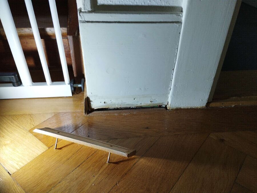 Kammerjäger-Wangen (SZ)-Einsatzvorbereitung.jpeg