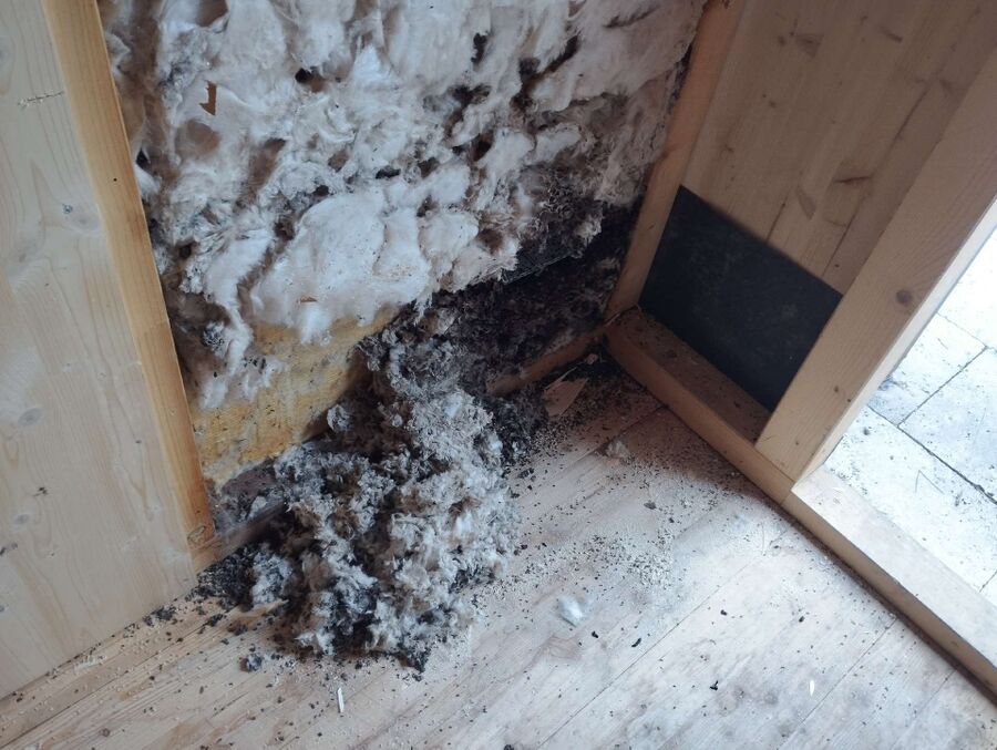 Kammerjäger-Muri bei Bern-Einsatzvorbereitung.jpeg