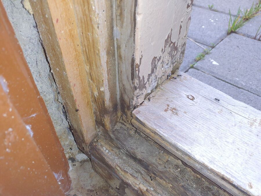 Kammerjäger-Oberwil bei Büren-Einsatzvorbereitung.jpeg