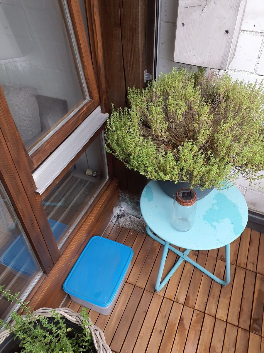 Kammerjäger-Oberwil im Simmental-Einsatzvorbereitung.jpeg