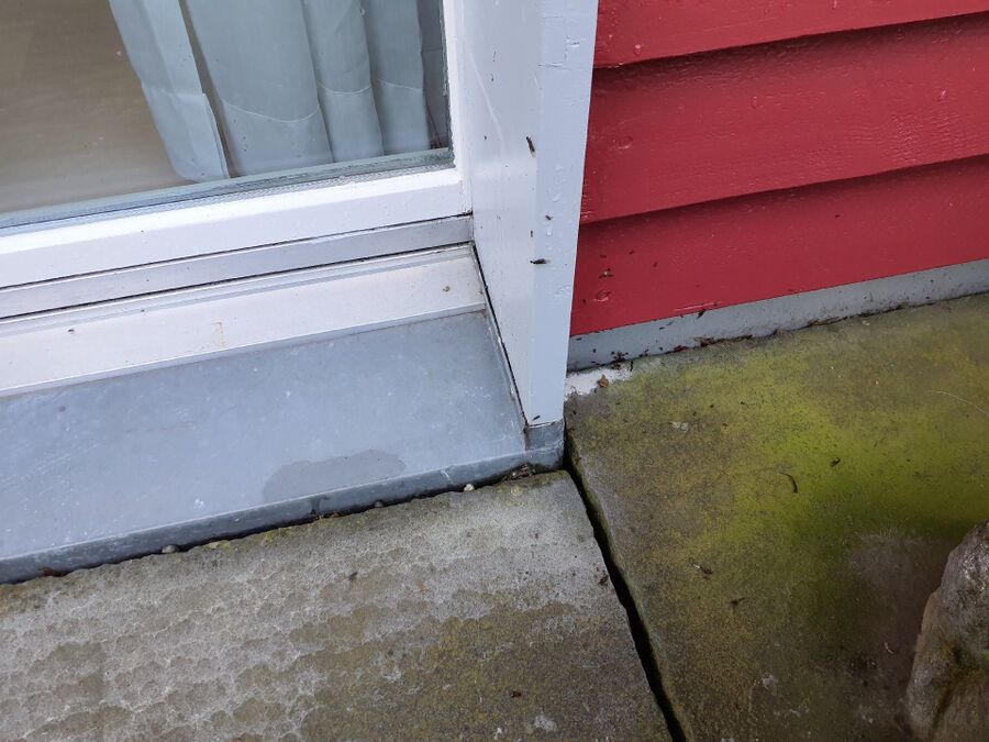 Kammerjäger-Lohn (SH)-Einsatzvorbereitung.jpeg