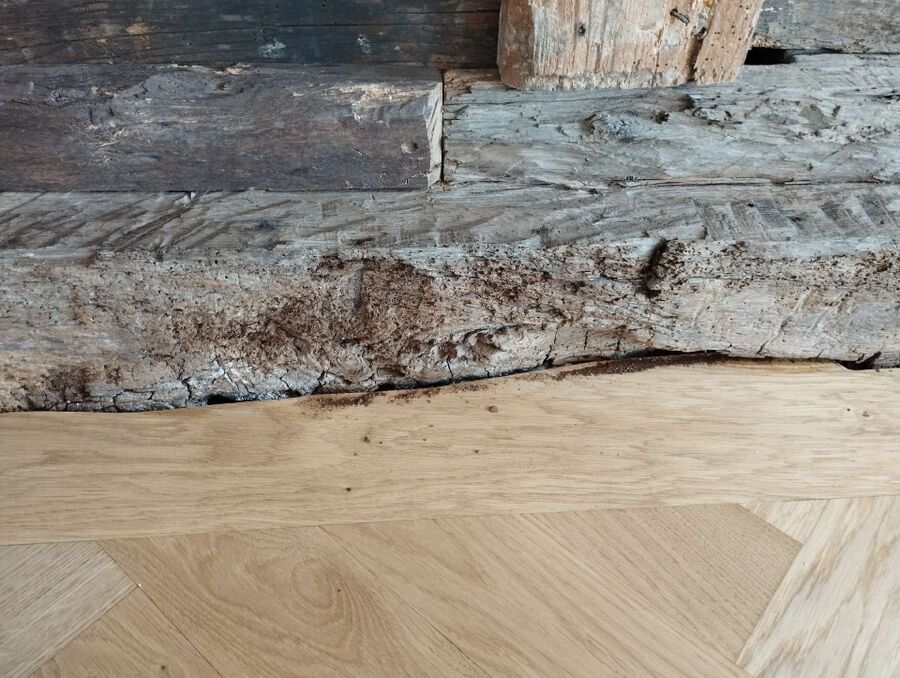 Kammerjäger-Nuglar-St. Pantaleon-Einsatzvorbereitung.jpeg