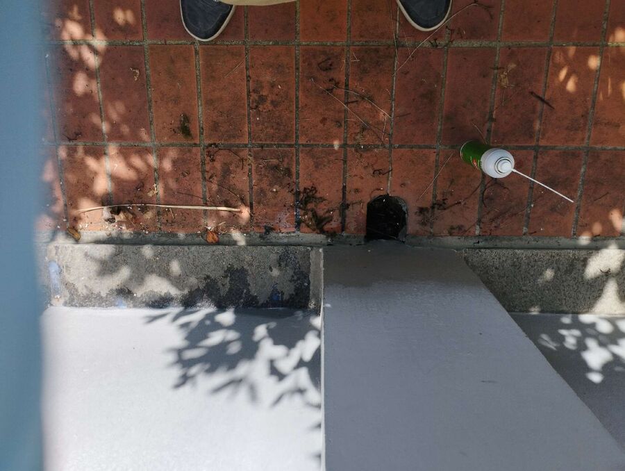 Kammerjäger-Beinwil (SO)-Einsatzvorbereitung.jpeg