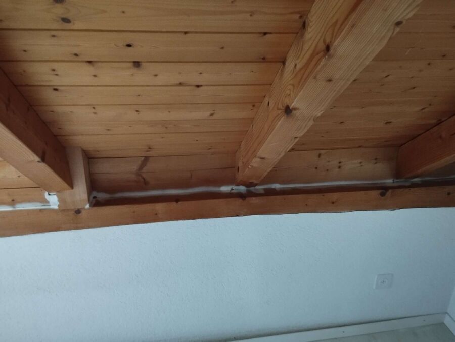 Kammerjäger-Rickenbach (SO)-Einsatzvorbereitung.jpeg