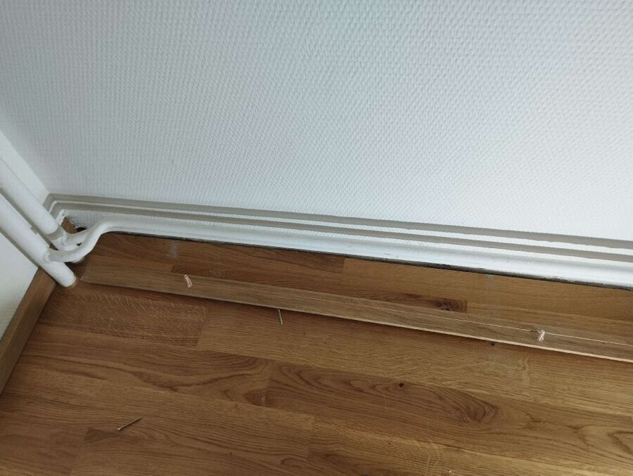 Kammerjäger-Rickenbach (LU)-Einsatzvorbereitung.jpeg