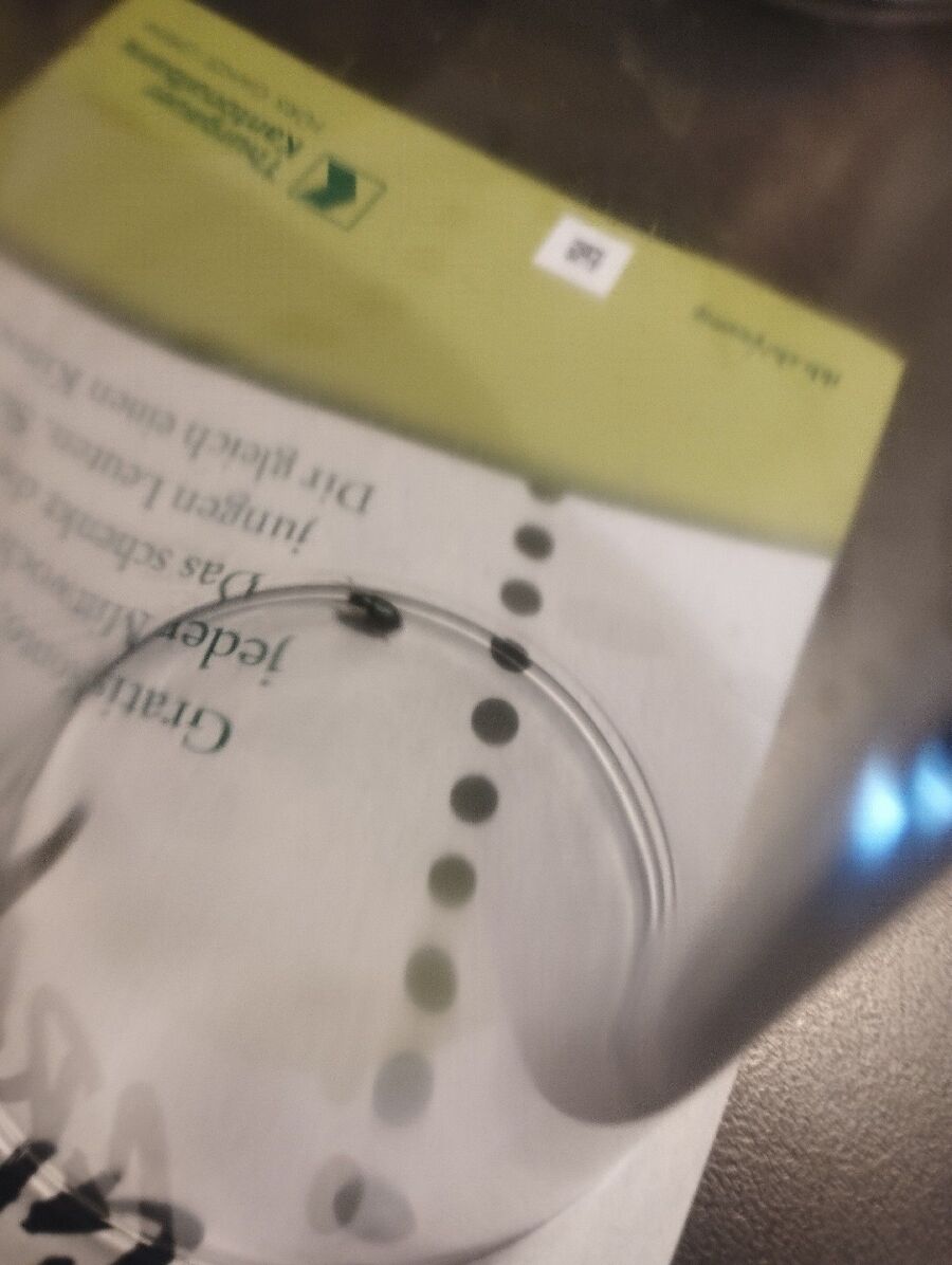 Kammerjäger-in-Kilchberg (BL)-Inspektion.jpeg