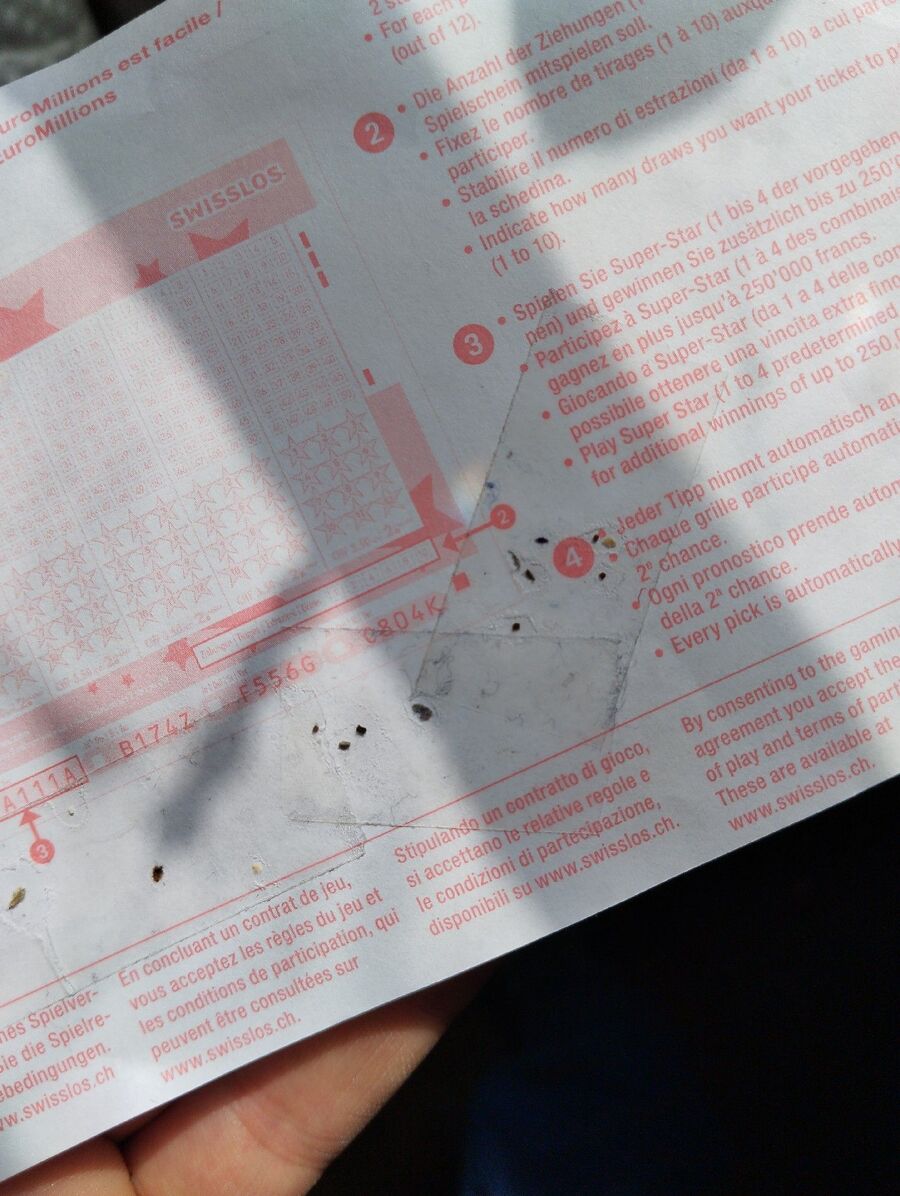 Kammerjäger-in-Aeschi (SO)-Inspektion.jpeg