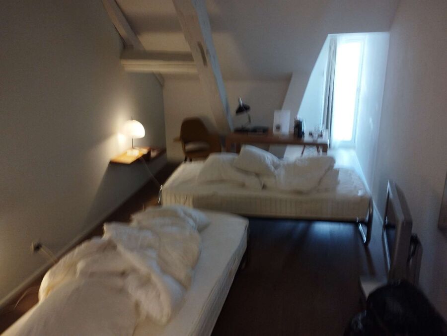 Kammerjäger-in-Kirchdorf (BE)-Inspektion.jpeg