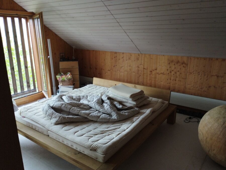 Kammerjäger-in-Roggwil (BE)-Inspektion.jpeg