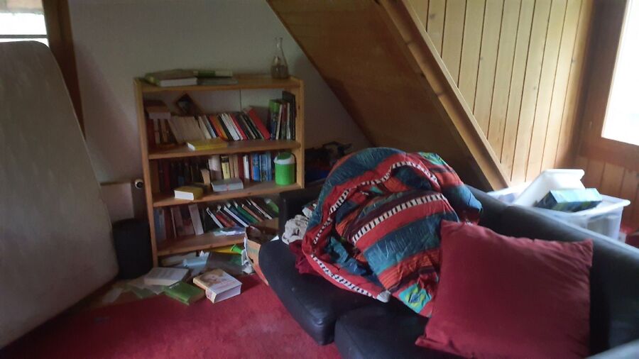 Kammerjäger-in-Teuffenthal (BE)-Inspektion.jpeg