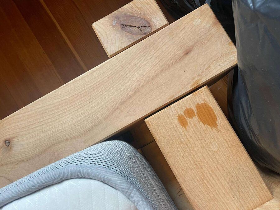 Kammerjäger-in-Zuzwil (SG)-Inspektion.jpeg