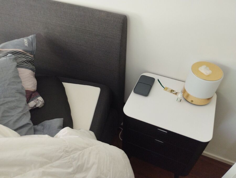 Kammerjäger-in-La Punt Chamues-ch-Inspektion.jpeg