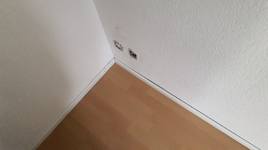 Kammerjäger-in-Roveredo (GR)-Inspektion.jpeg