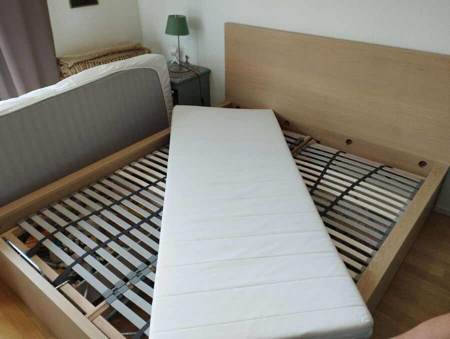 Kammerjäger-in-Seewis im Prättigau-Inspektion.jpeg