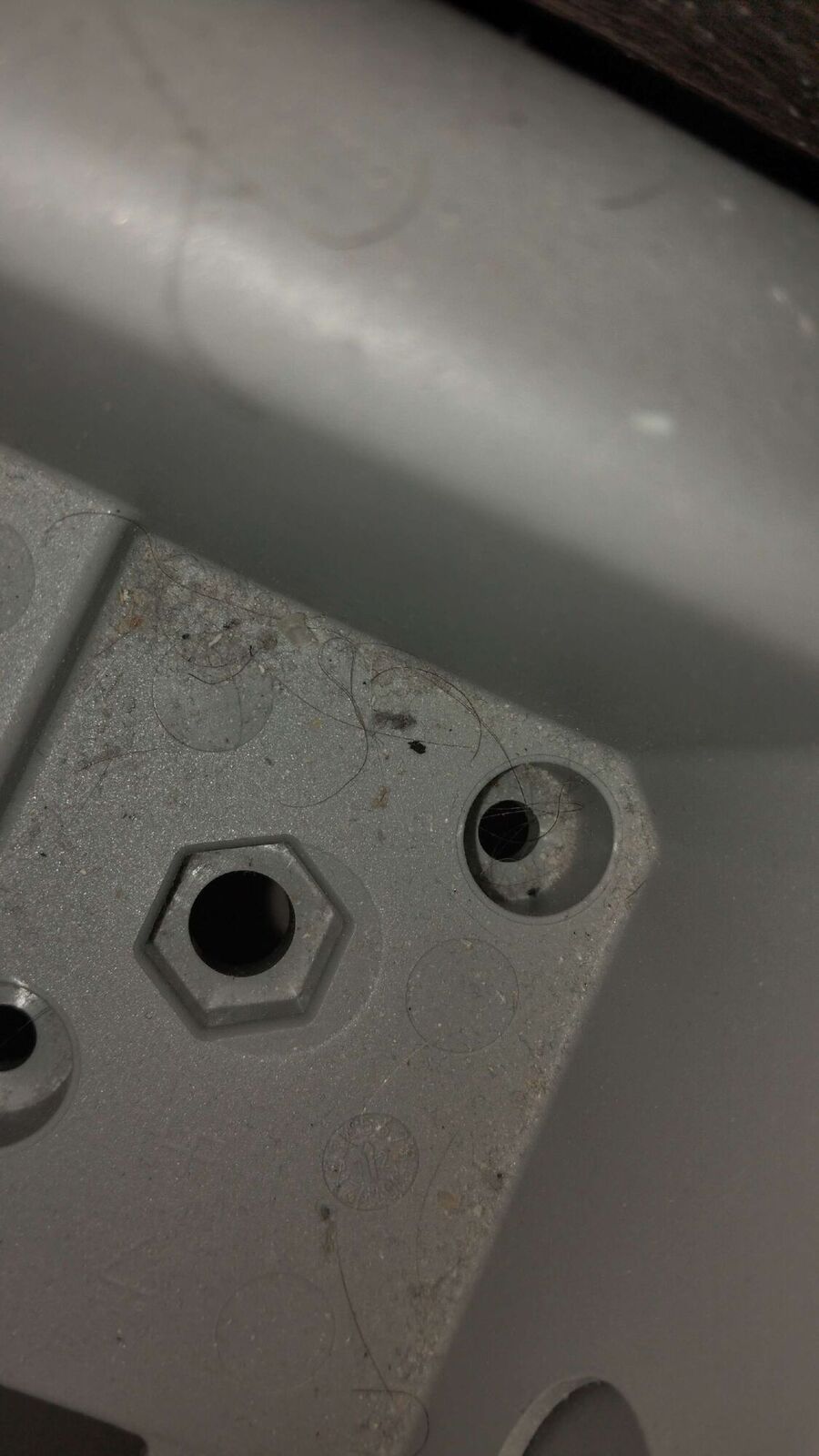 Kammerjäger-in-Leimbach (AG)-Inspektion.jpeg