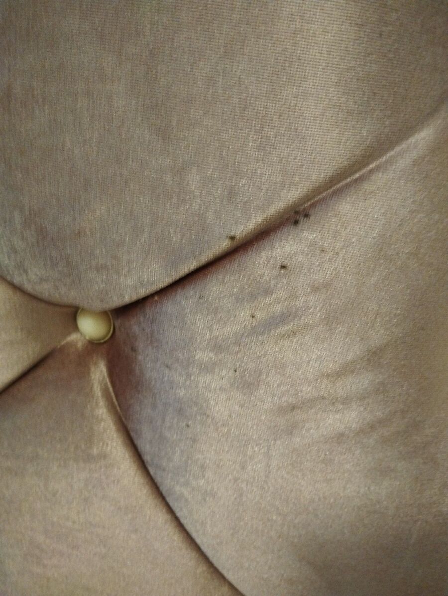 Kammerjäger-in-Stein (AG)-Inspektion.jpeg