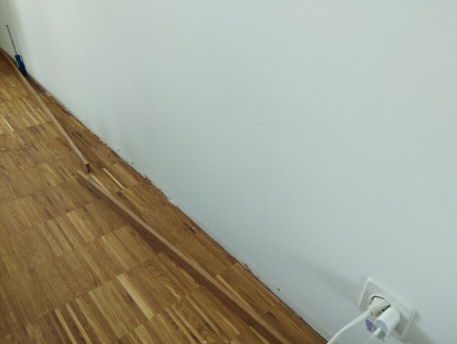 Kammerjäger-in-Rickenbach (TG)-Inspektion.jpeg