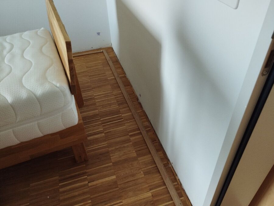 Kammerjäger-in-Seedorf (UR)-Inspektion.jpeg