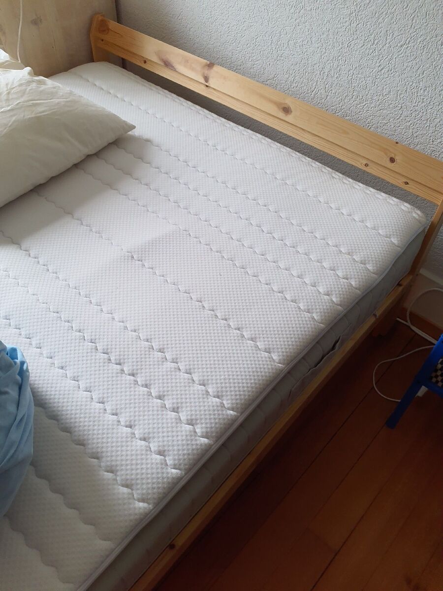 Kammerjäger-in-Buch (SH)-Inspektion.jpeg