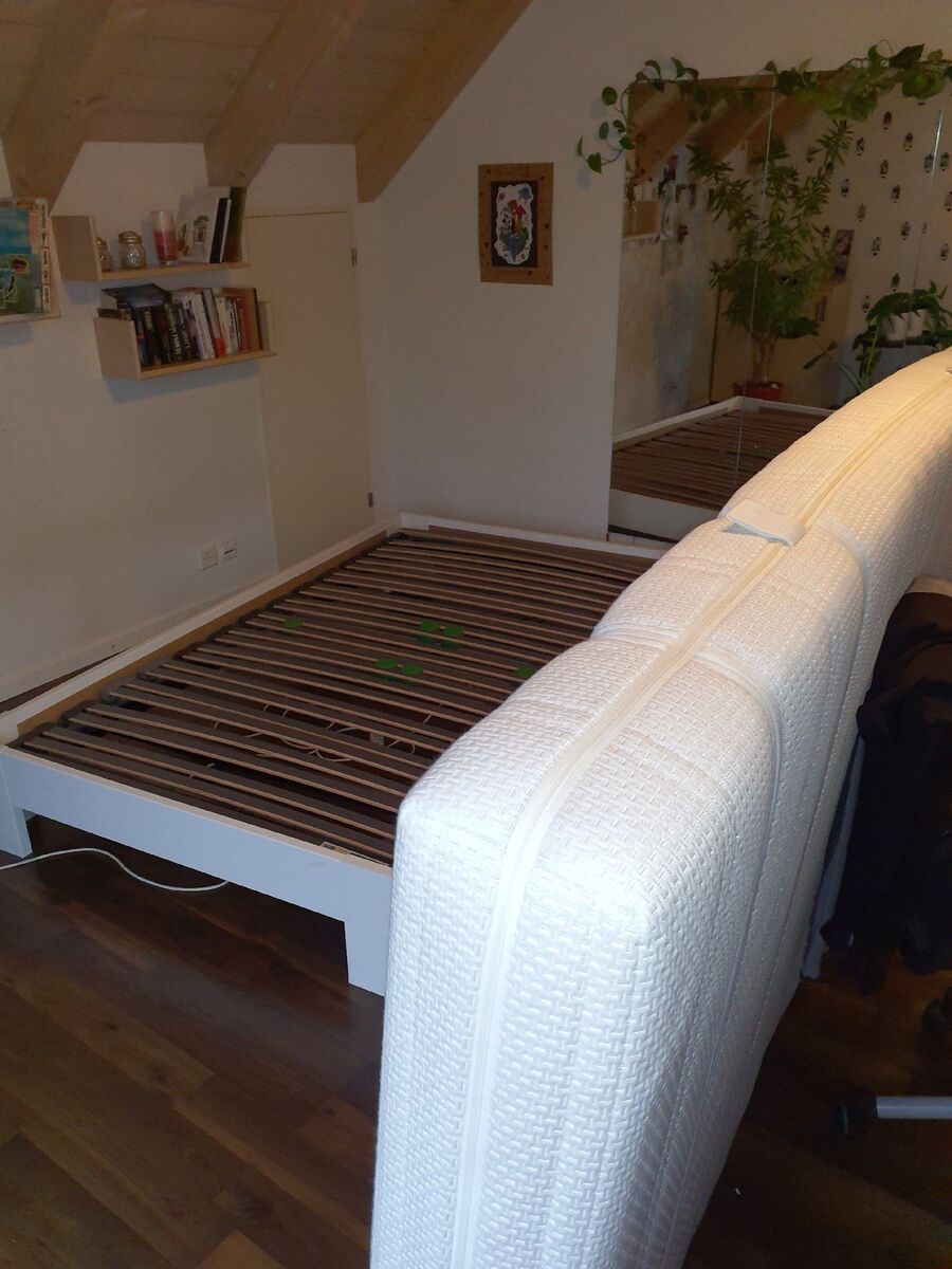 Kammerjäger-in-Lohn (SH)-Inspektion.jpeg