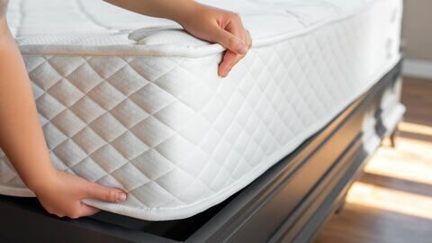 Kammerjäger für Milben