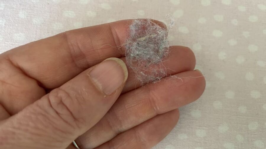 Kammerjäger für Milben