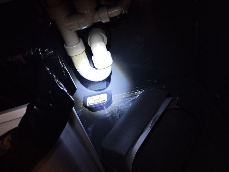 Kammerjaeger-Rickenbach (BL)-Beratung.jpg